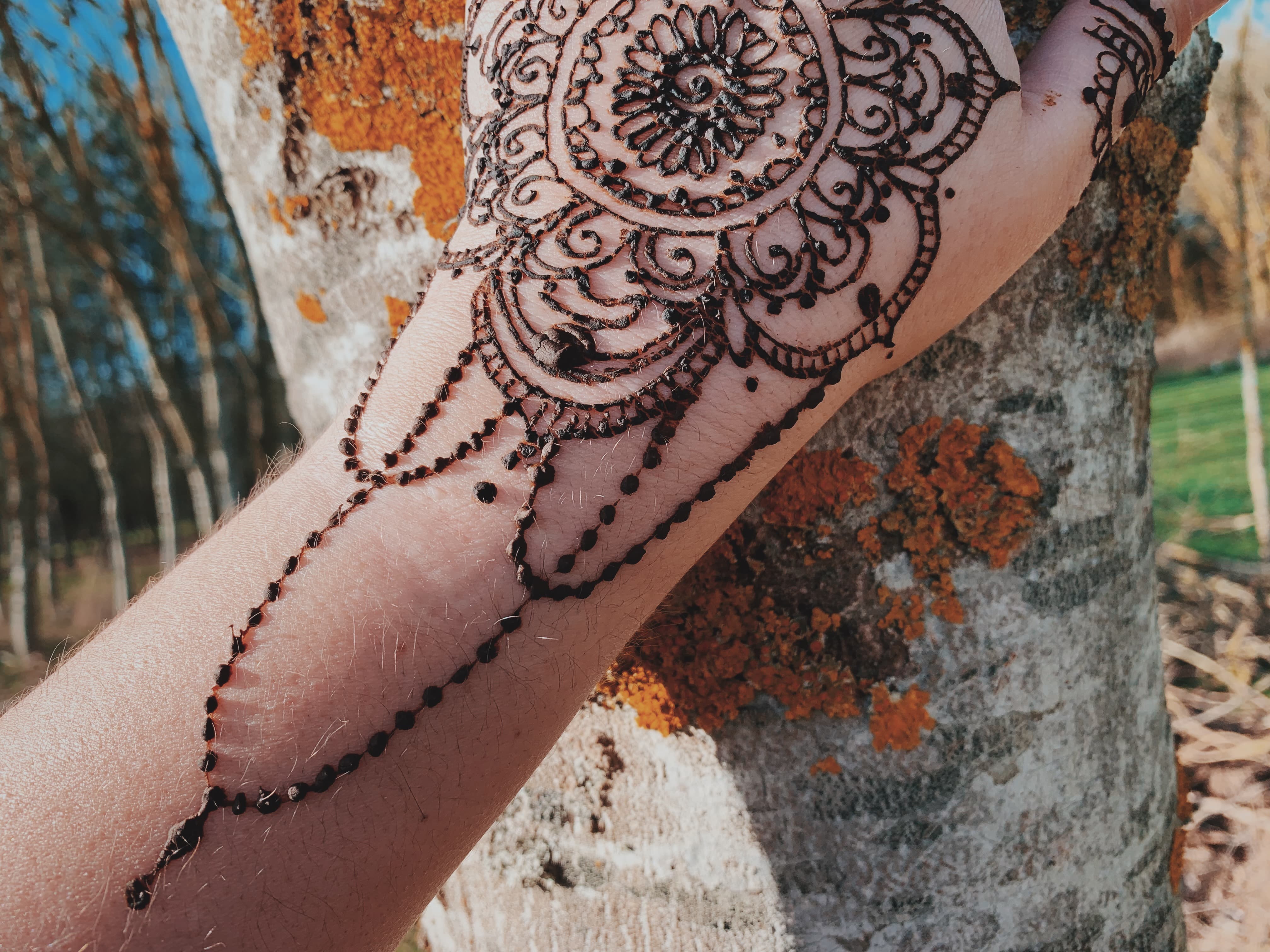 henna6.jpg