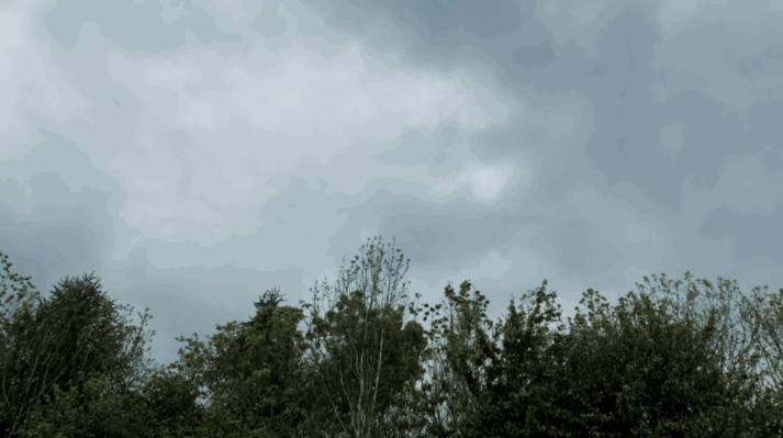 Screen Recording 20190510 at 02.59 PM.gif