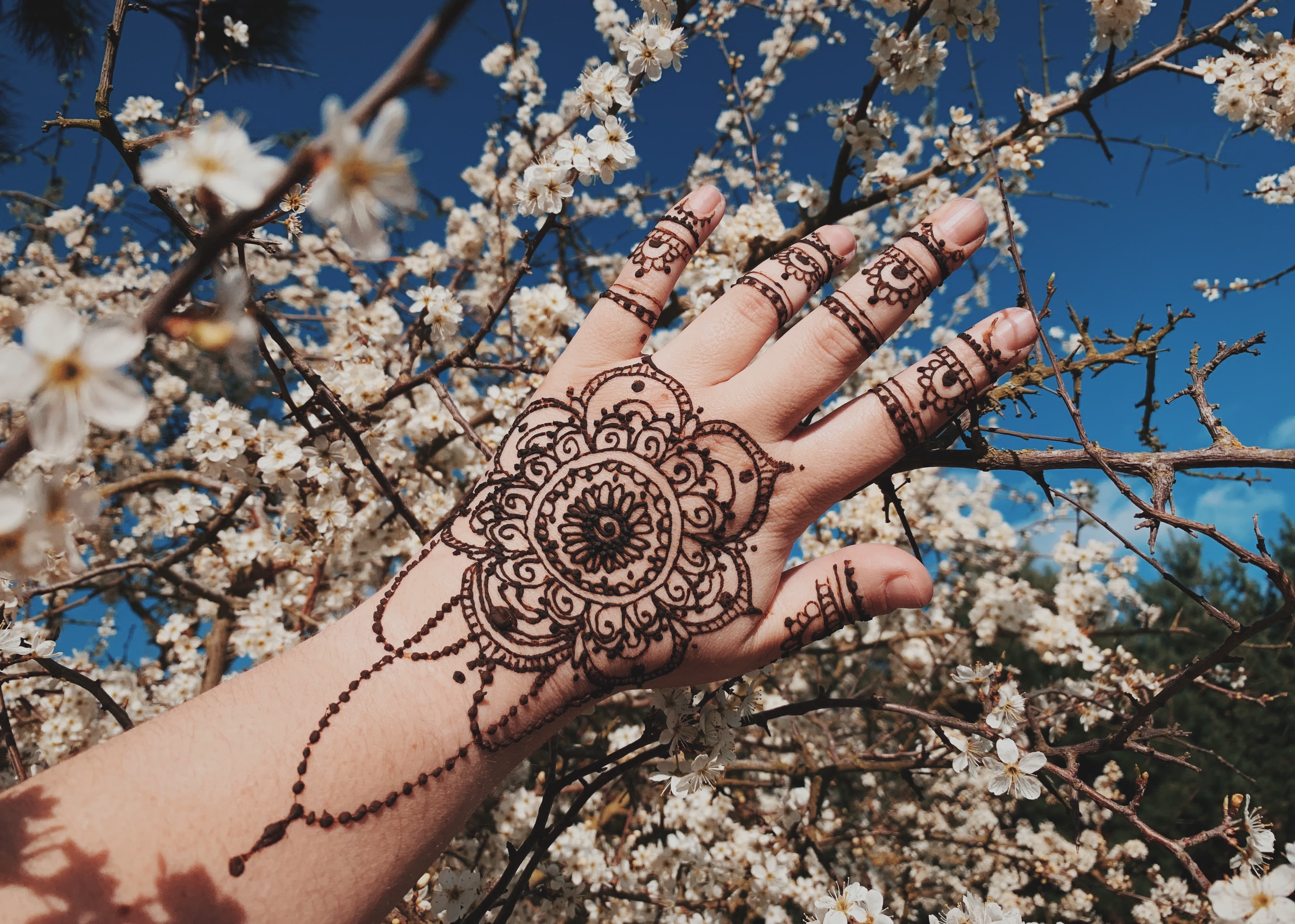 henna4.jpg