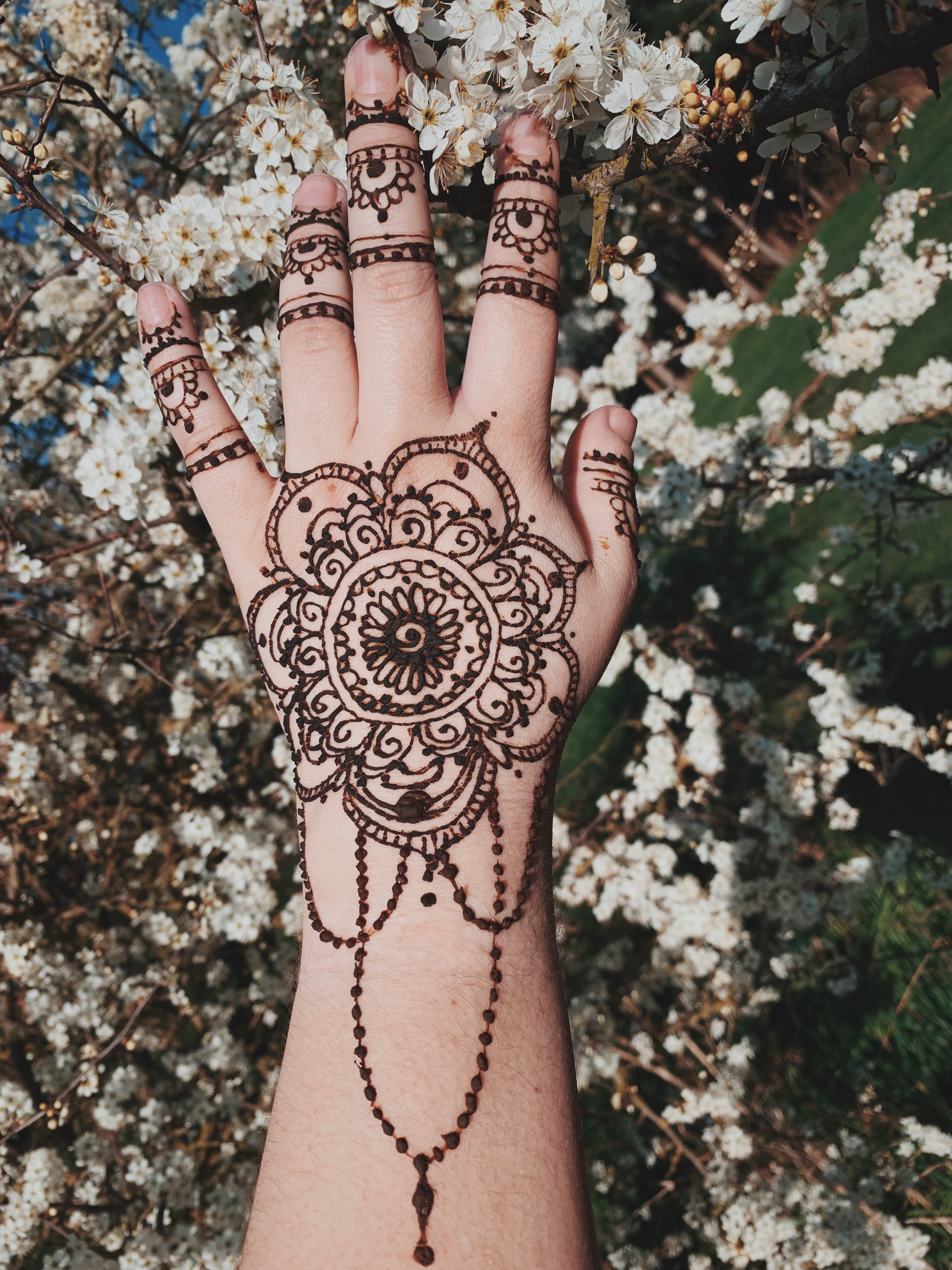 henna5.jpg