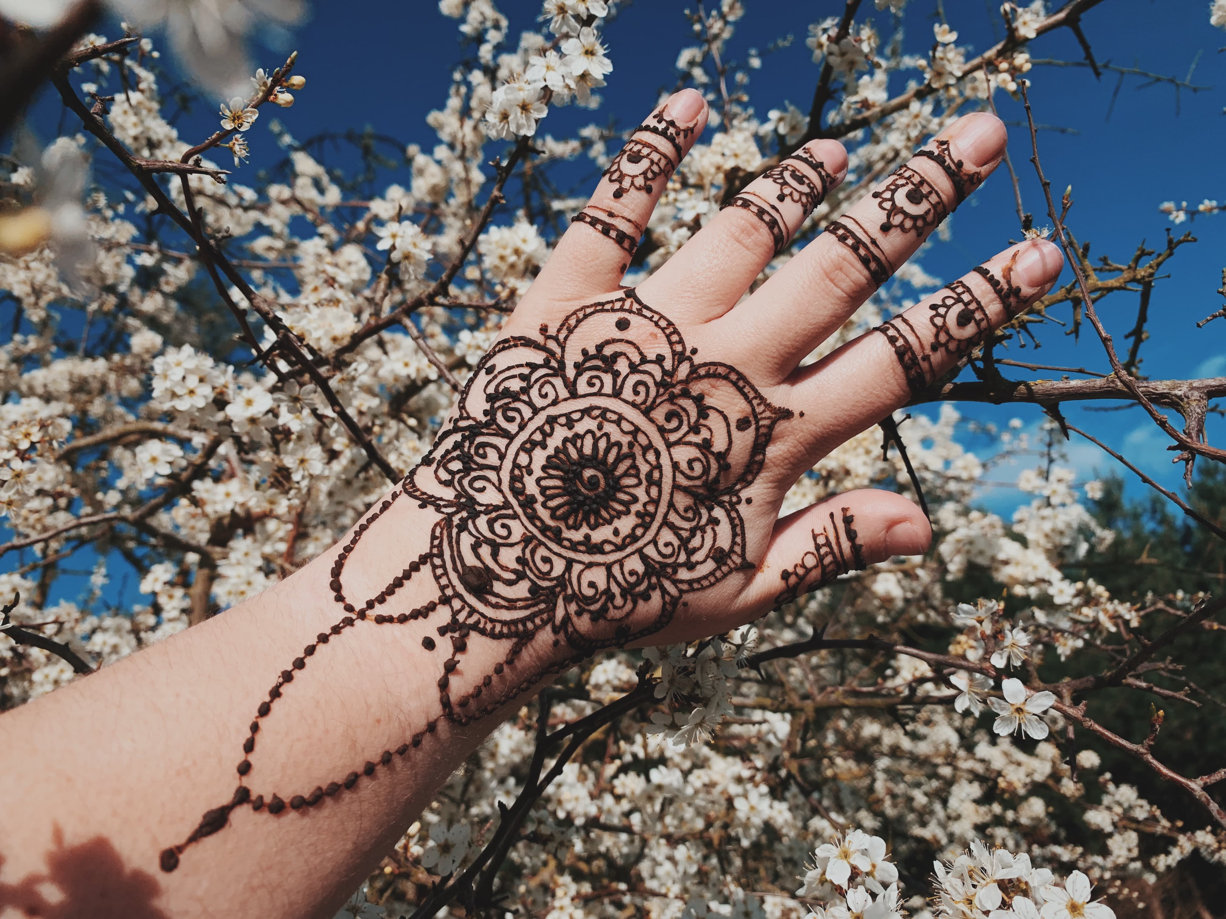 henna7.jpg