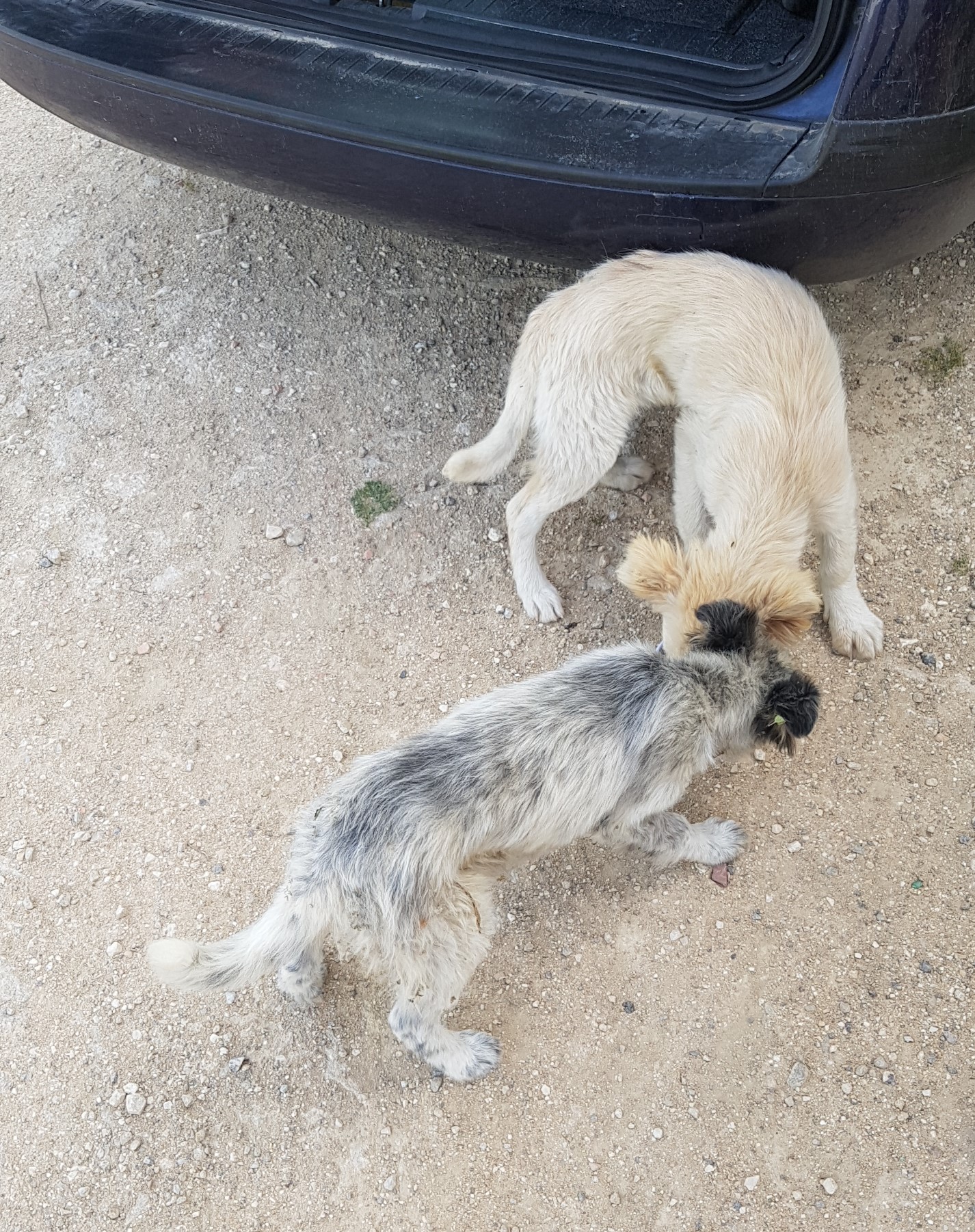 20170512_171027 2.jpg