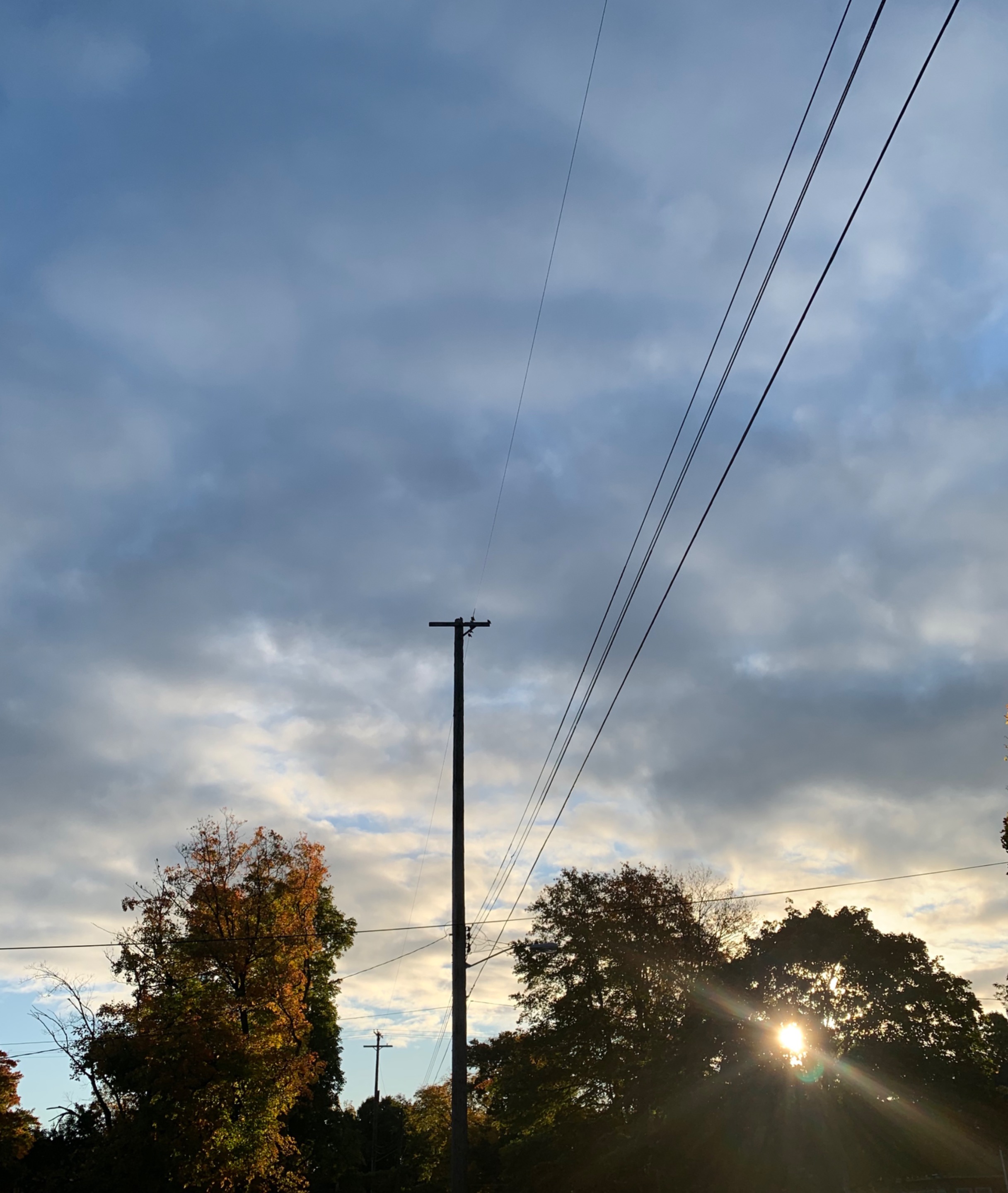 49599735DCC04A45B783B22BFFA1D078.jpeg