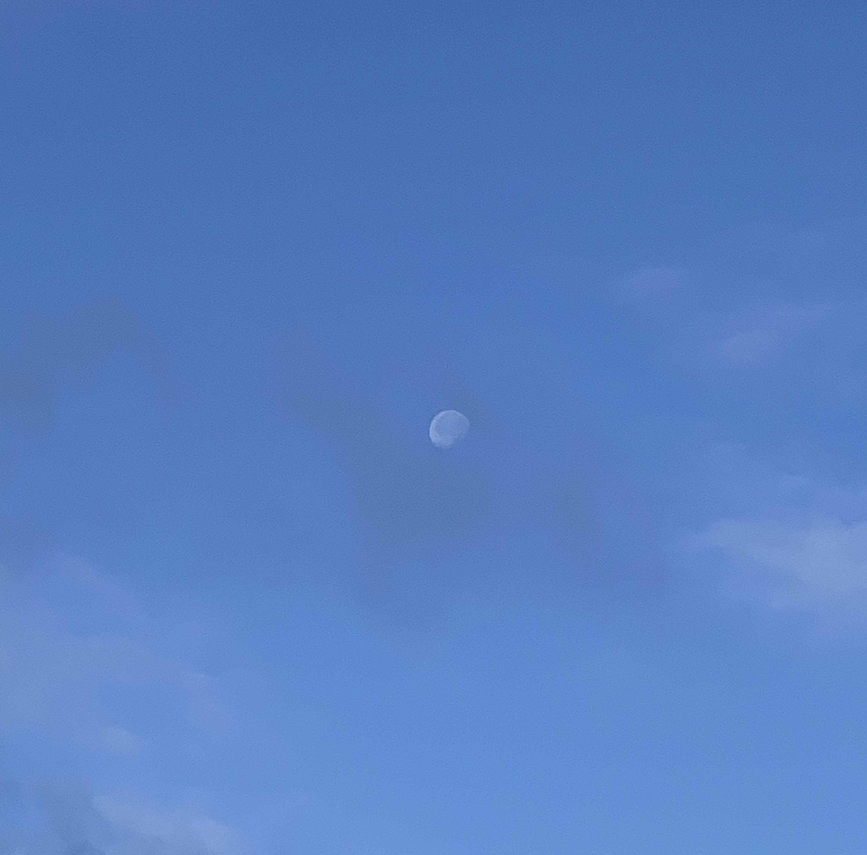 4F45CB7382384AEB8E9D2E71E1F5306A.jpeg