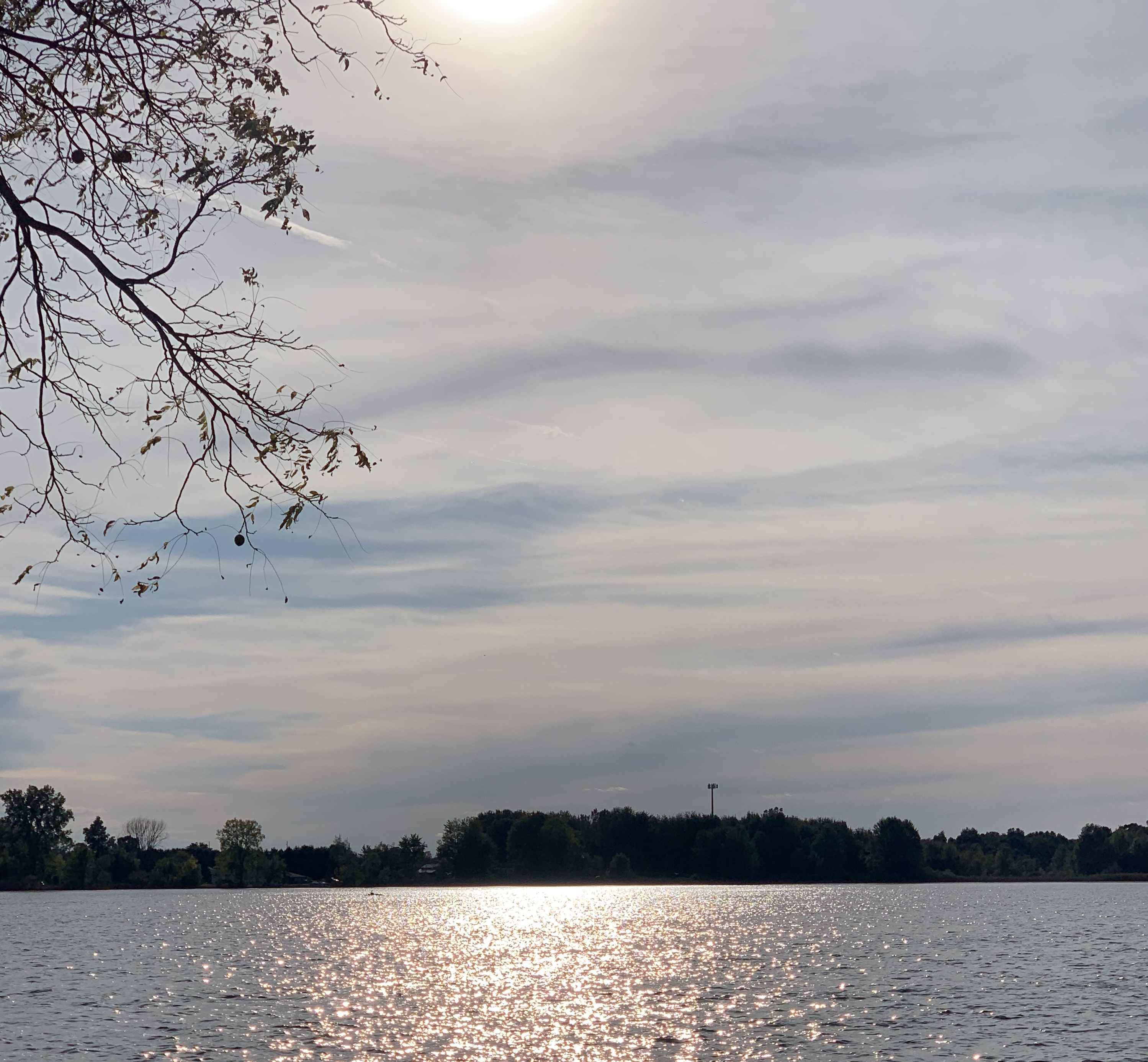 C370EEB5139A4F188DFEB671F617D7F5.jpeg
