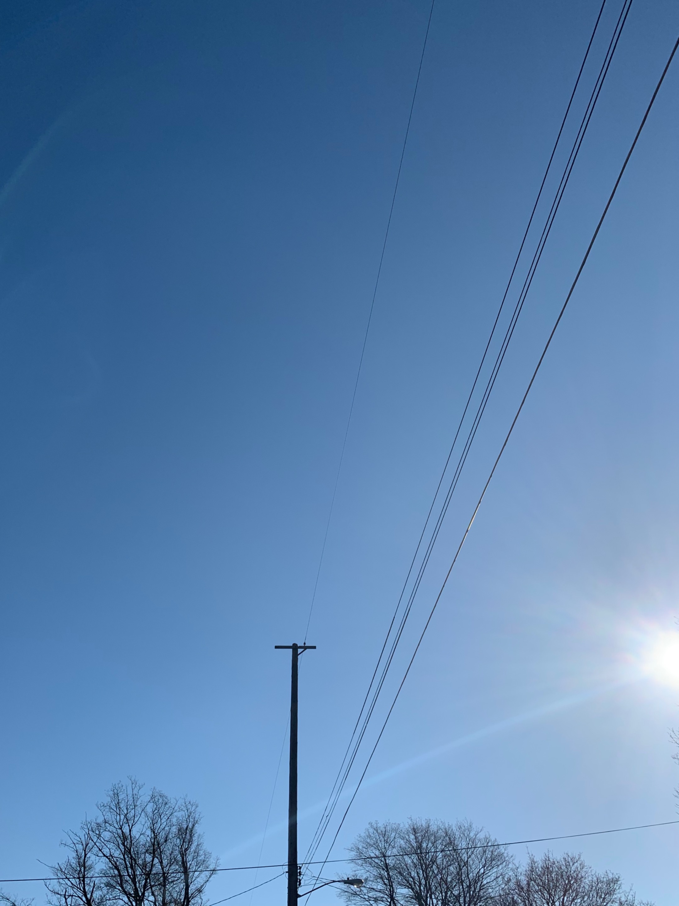 42F9CBB19467463E946F33A9E2C3A1F6.jpeg