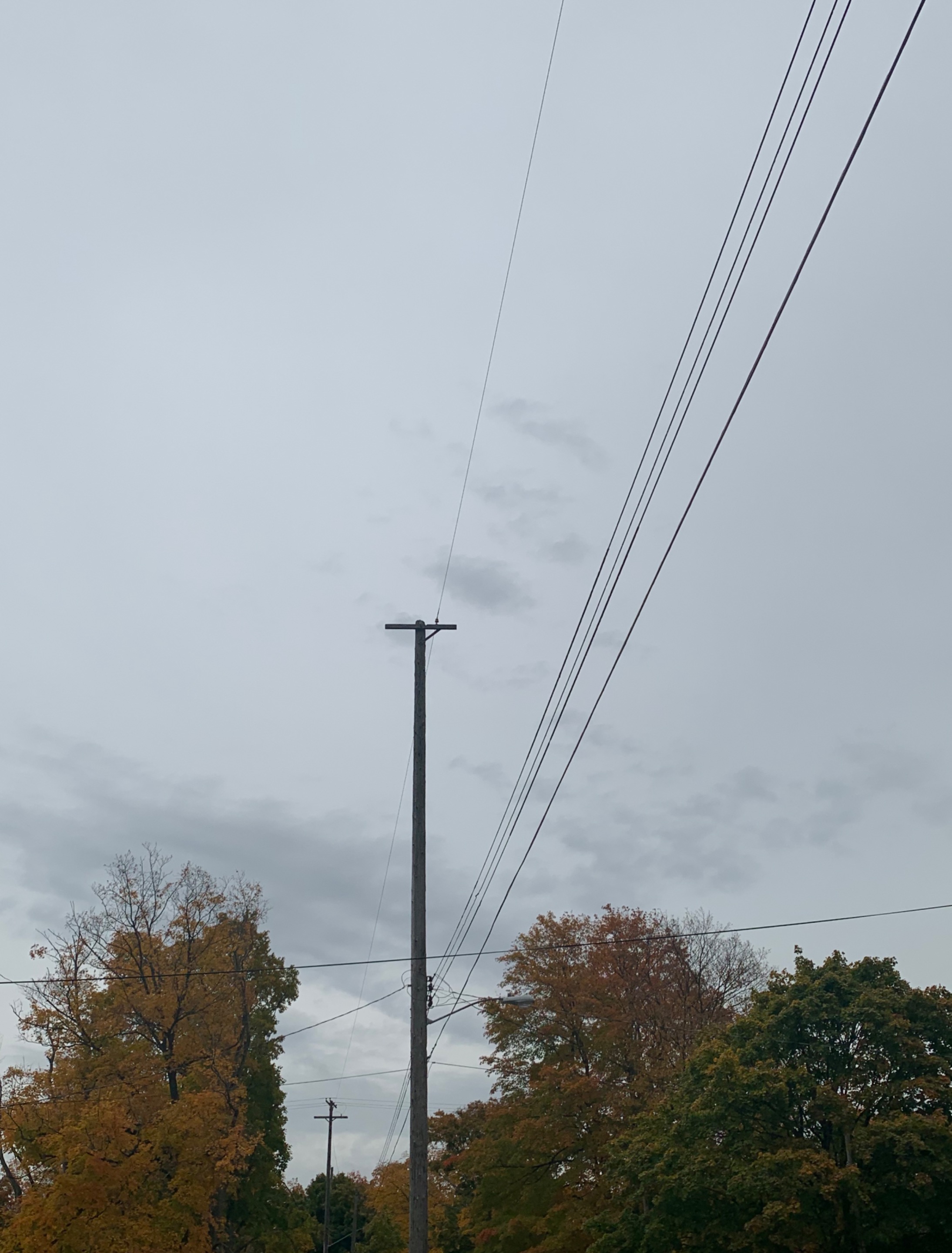 E59F05E5876F461EA3784ED2C09444E5.jpeg