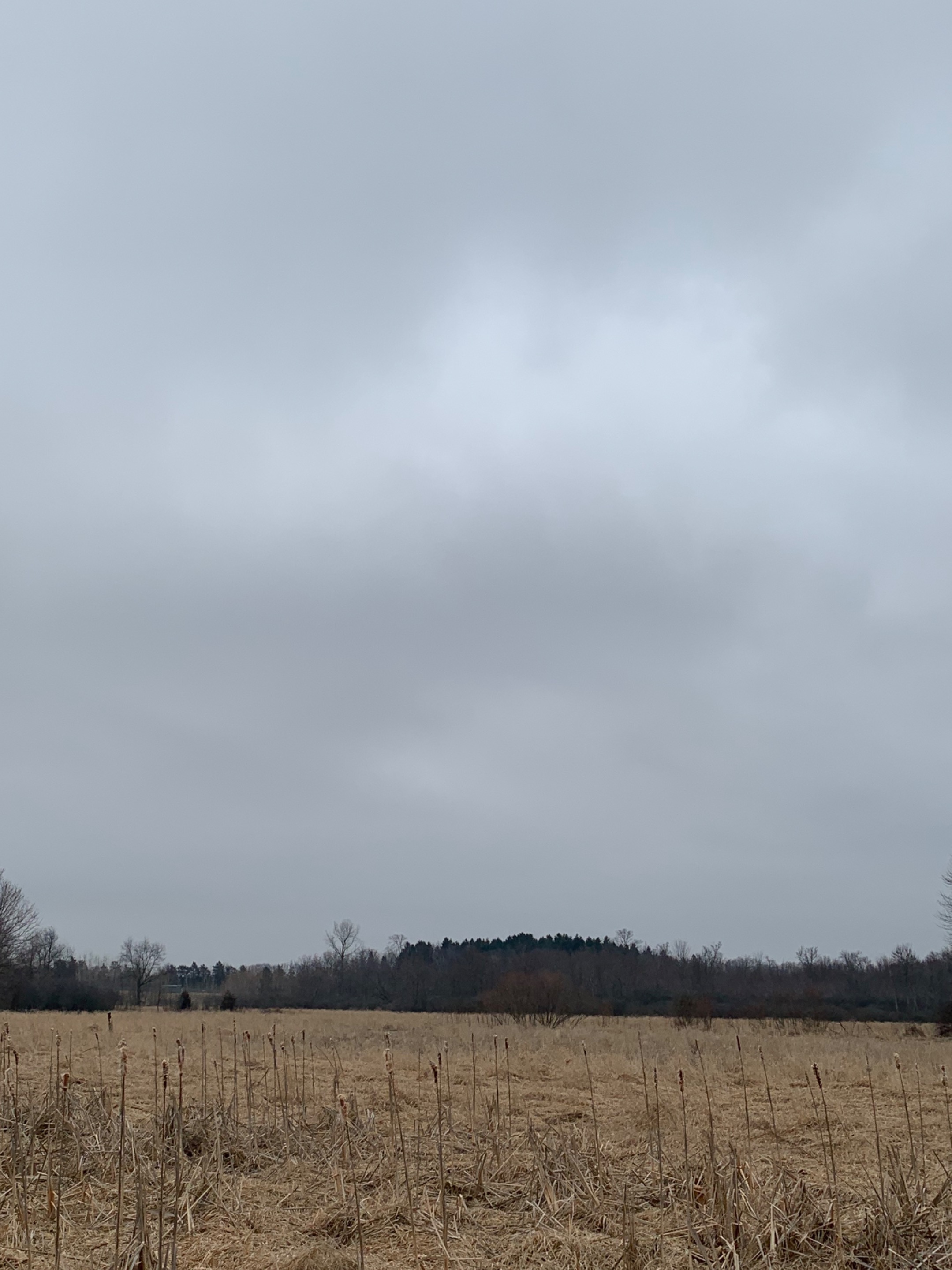 6FF323D01E83462C962350C1149D13B0.jpeg