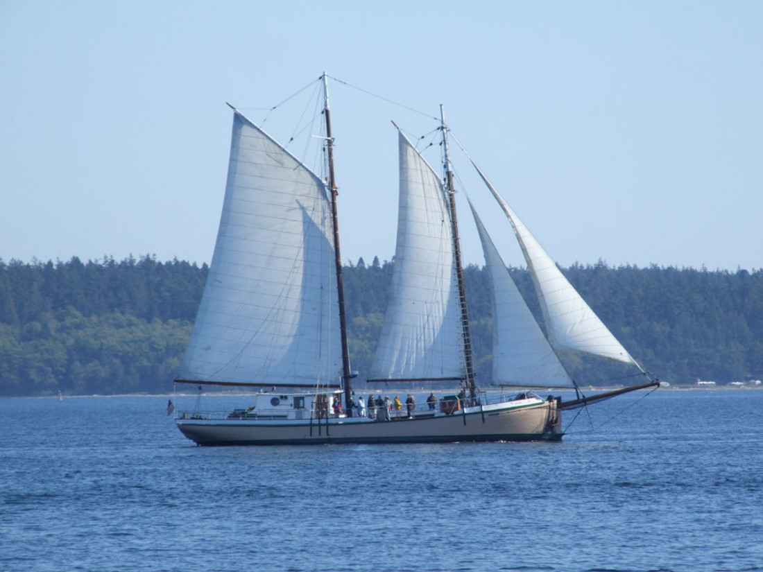 217Boat140201a.jpg