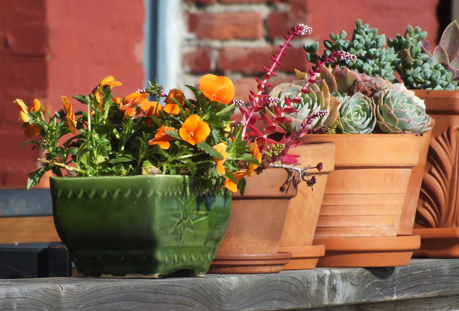 1020PlantPots.jpg