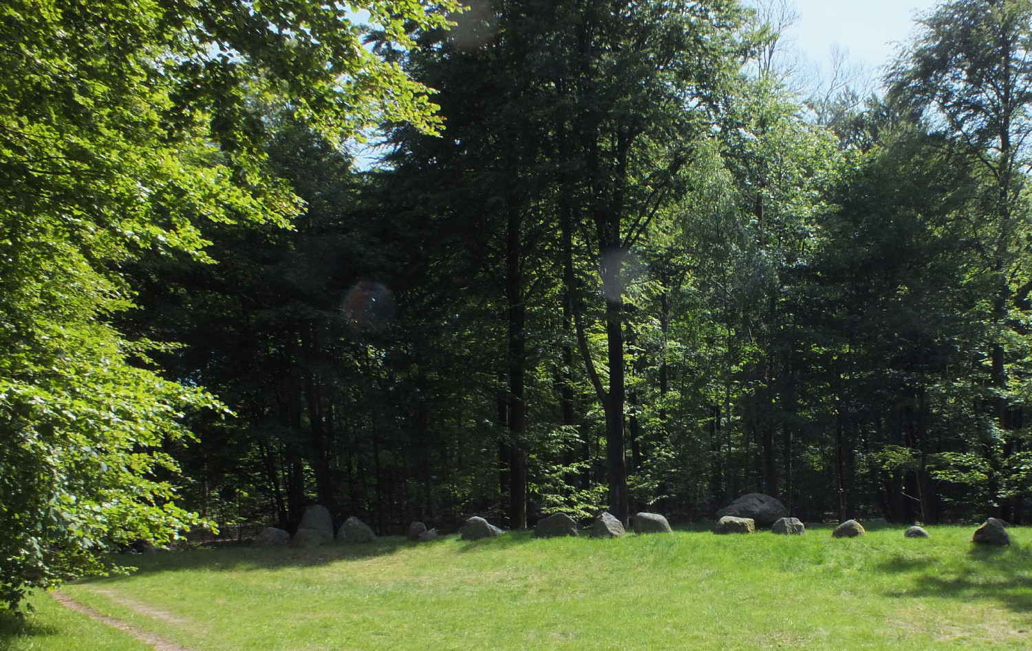 0849Woods.jpg