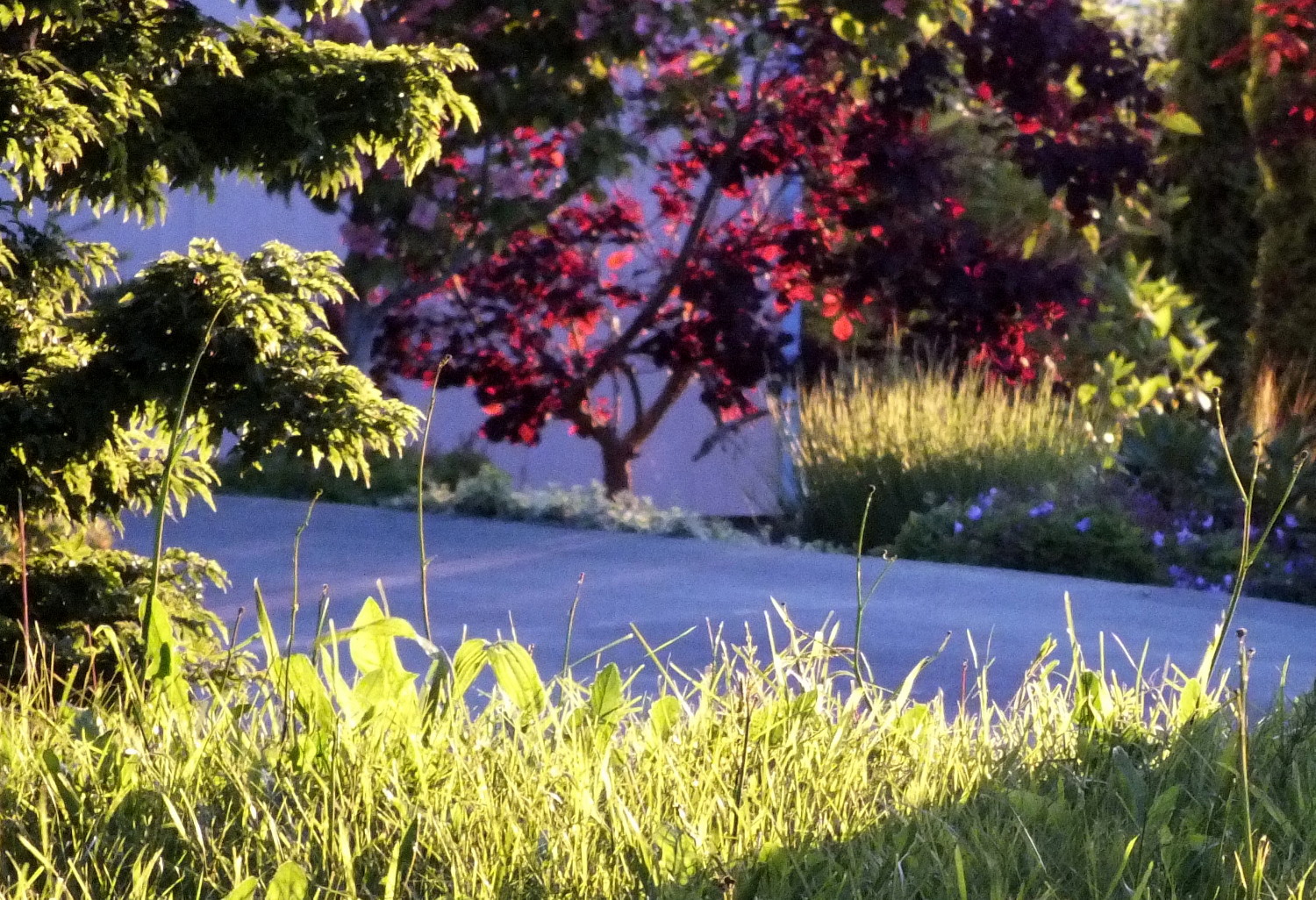 1082EveningLight.jpg