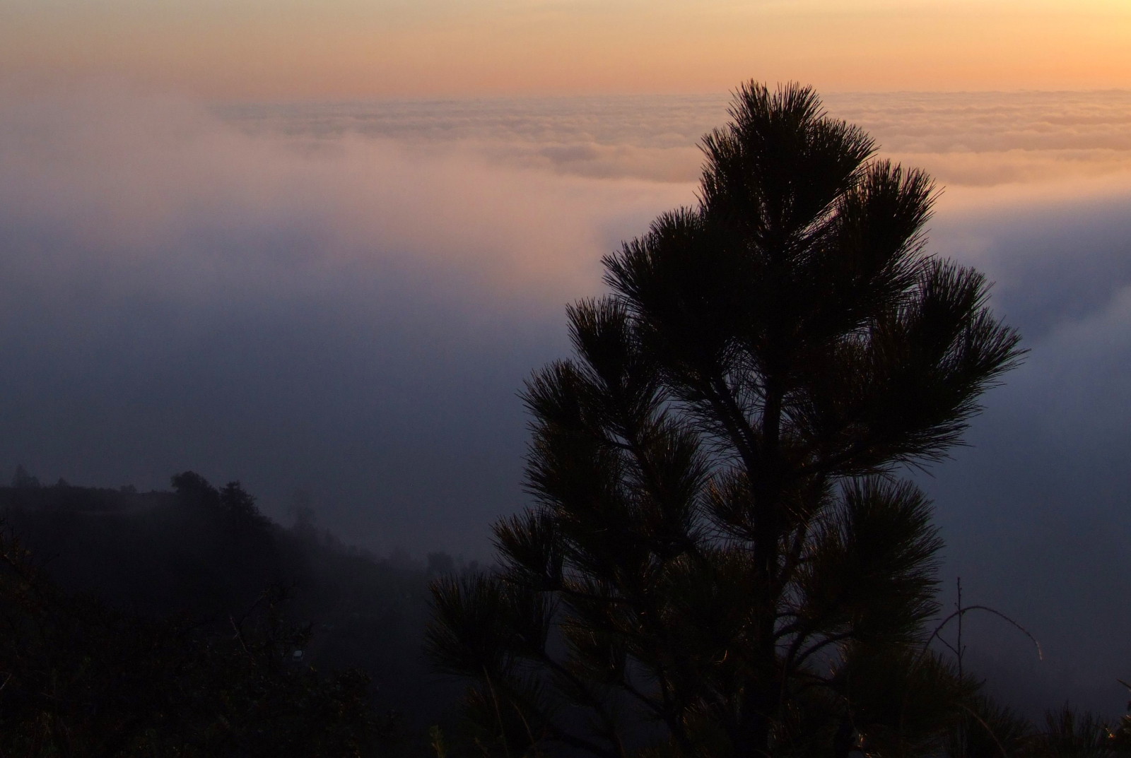1228BigSurFog.jpg