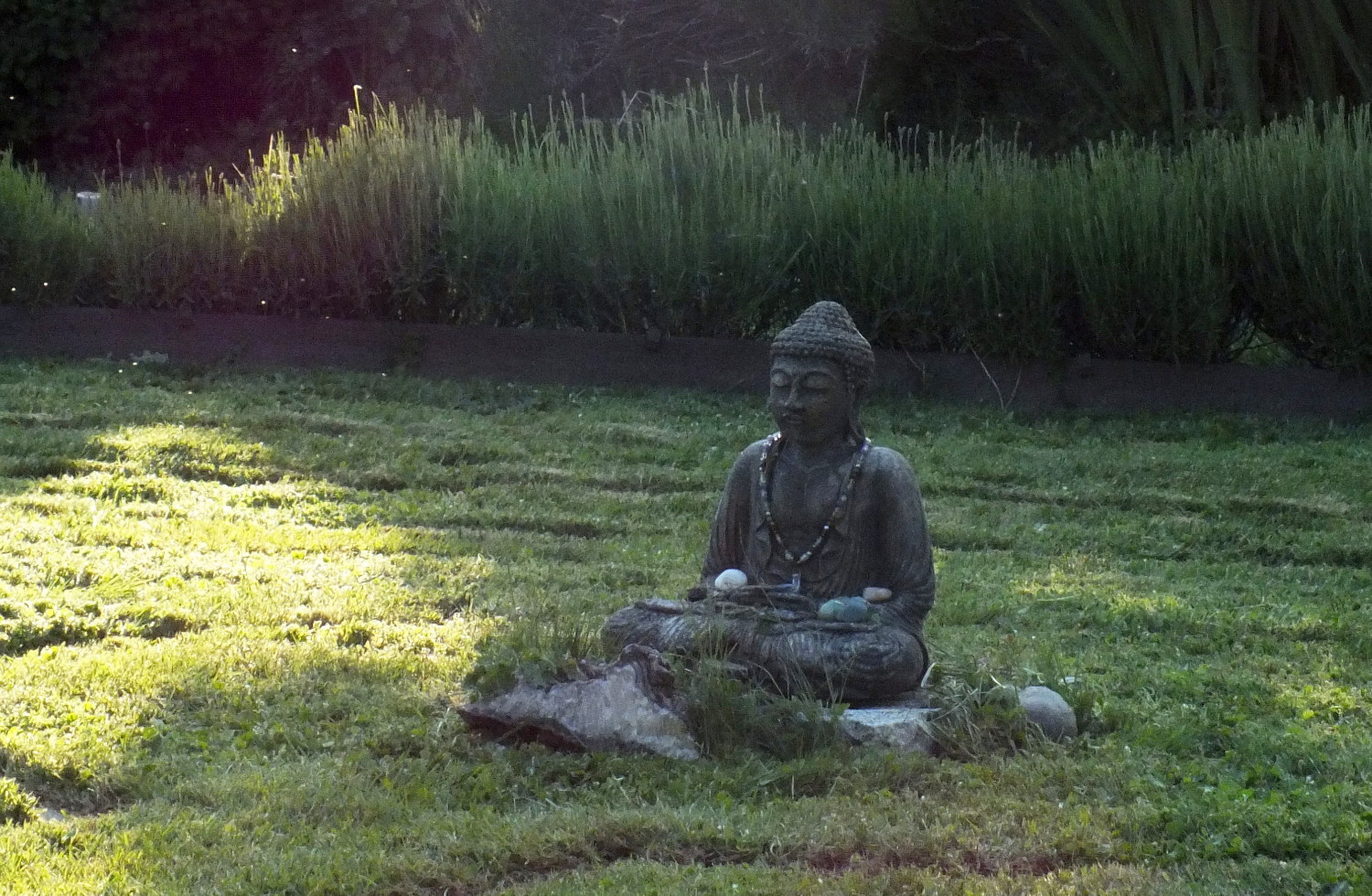 0881Buddha.jpg