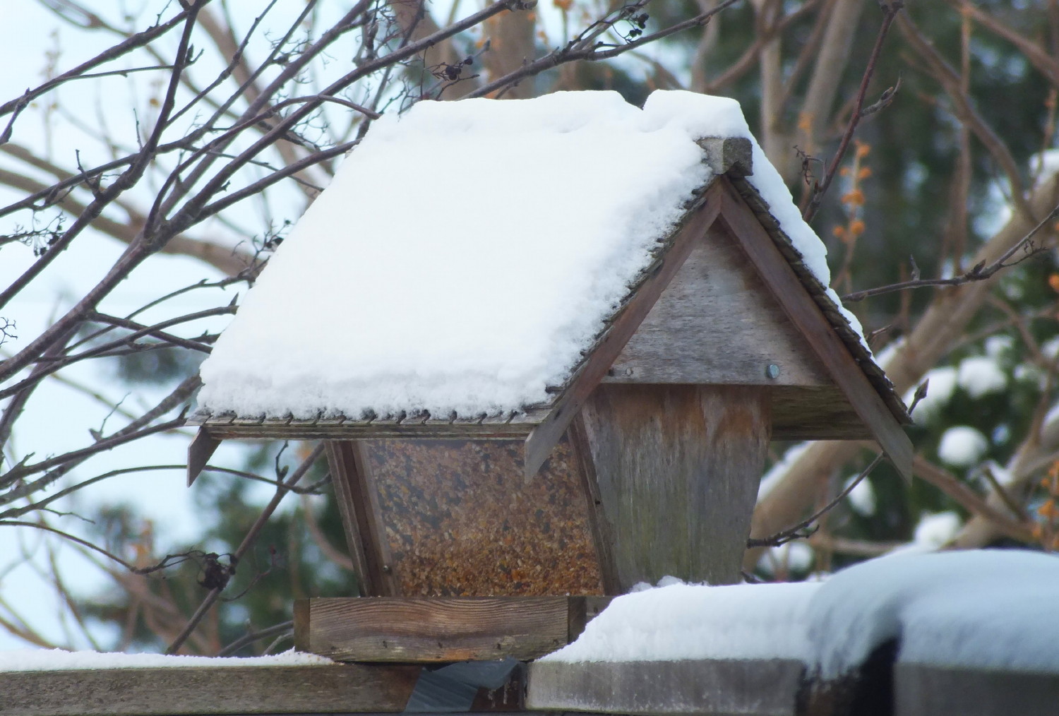 0871Birdhouse.jpg