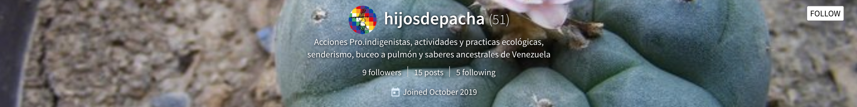 Screen Shot 20191126 at 9.16.29 PM.png