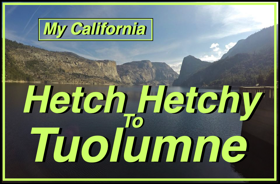 Hetchhetchycover.png