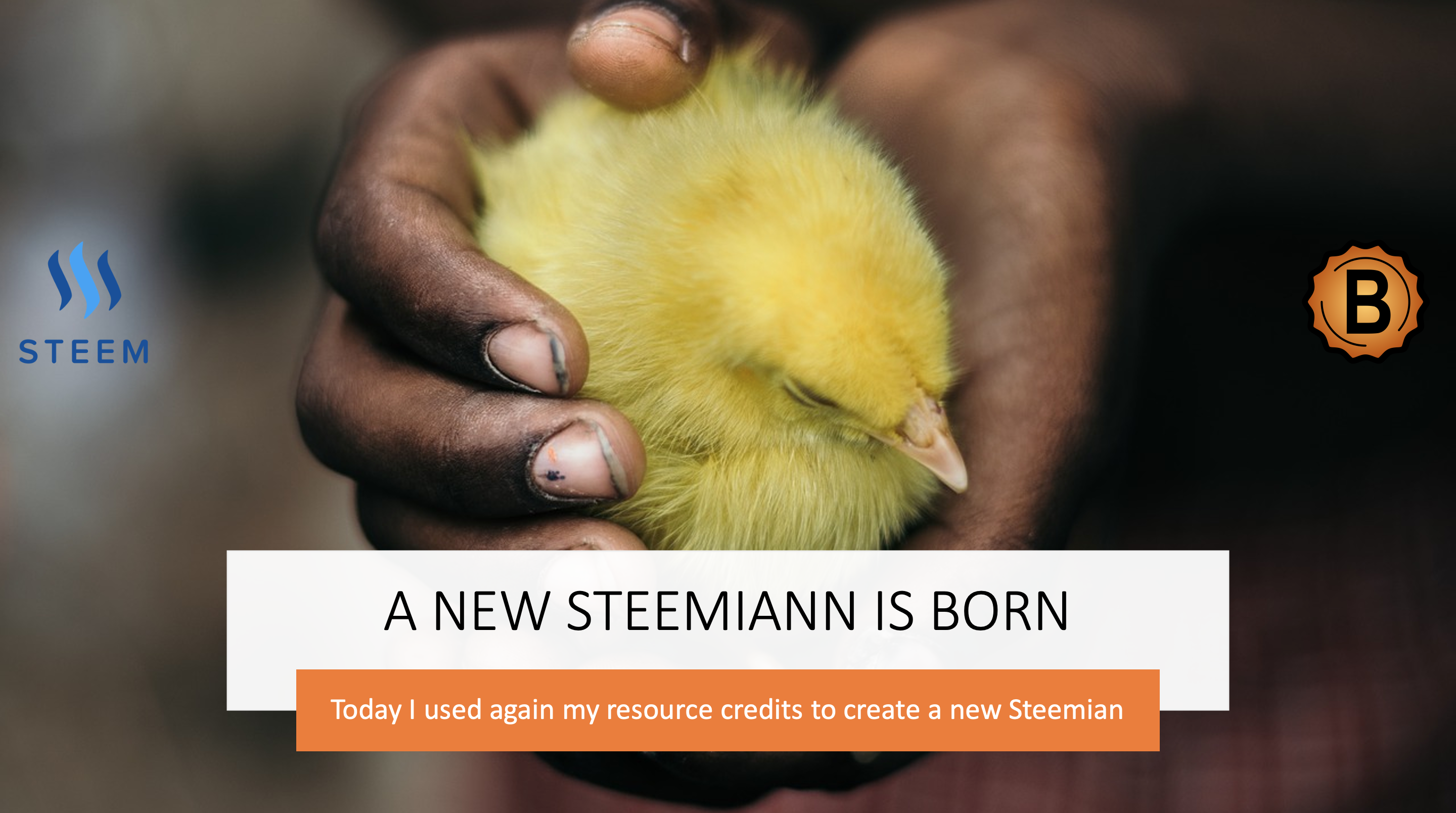 a new steemian is born on the steem blockchain 1.png