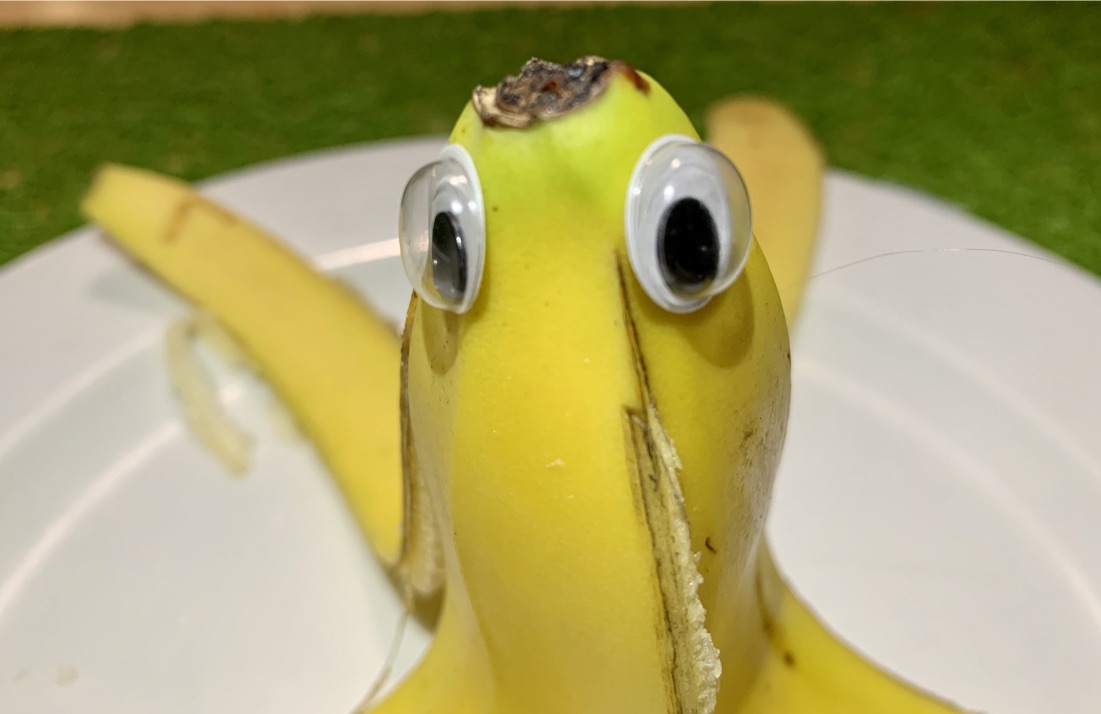 A725CF6656234C1680713A425A950641_1_105_c.jpeg