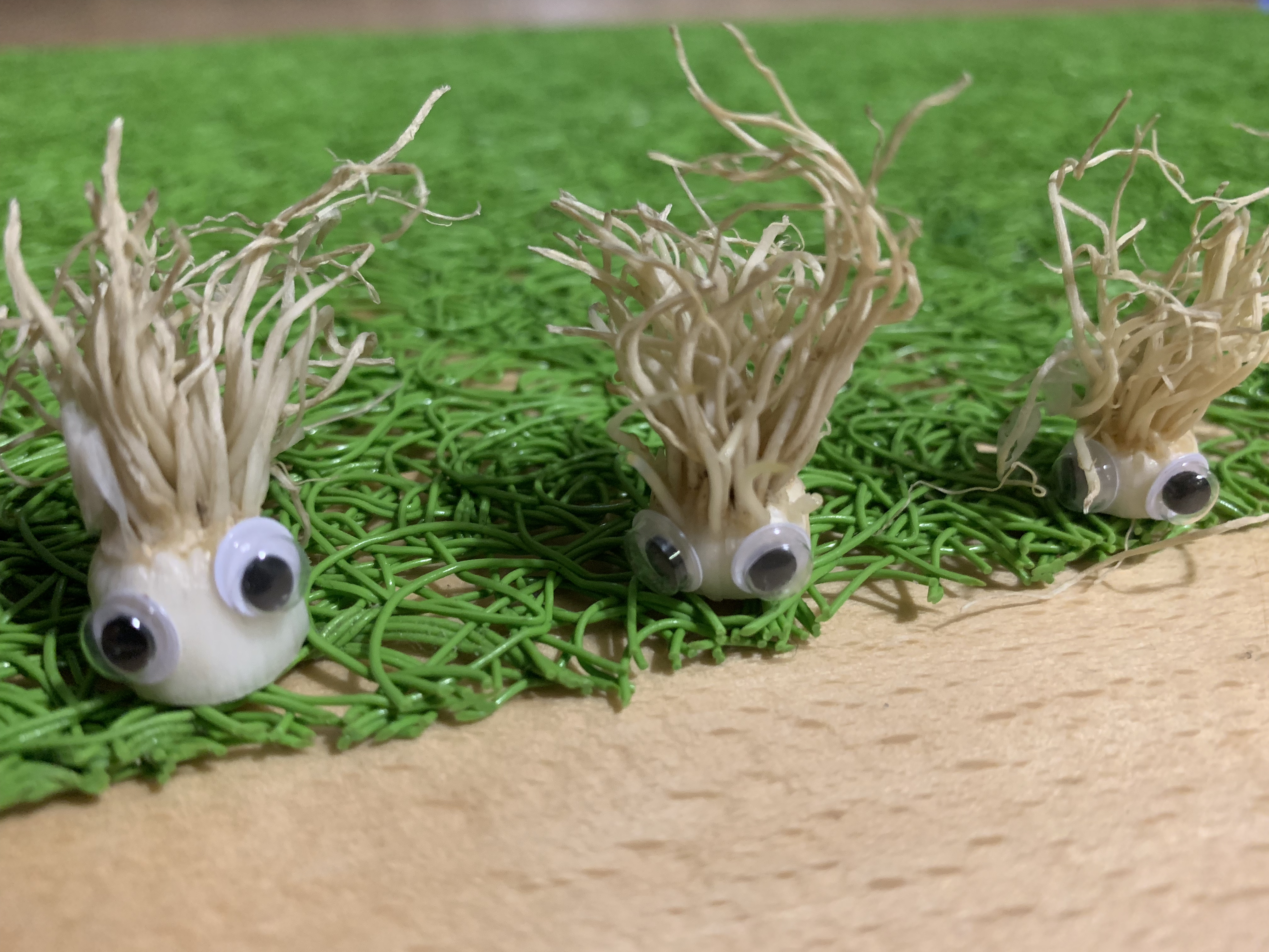 googlyEyes Bee Dees 2.jpg