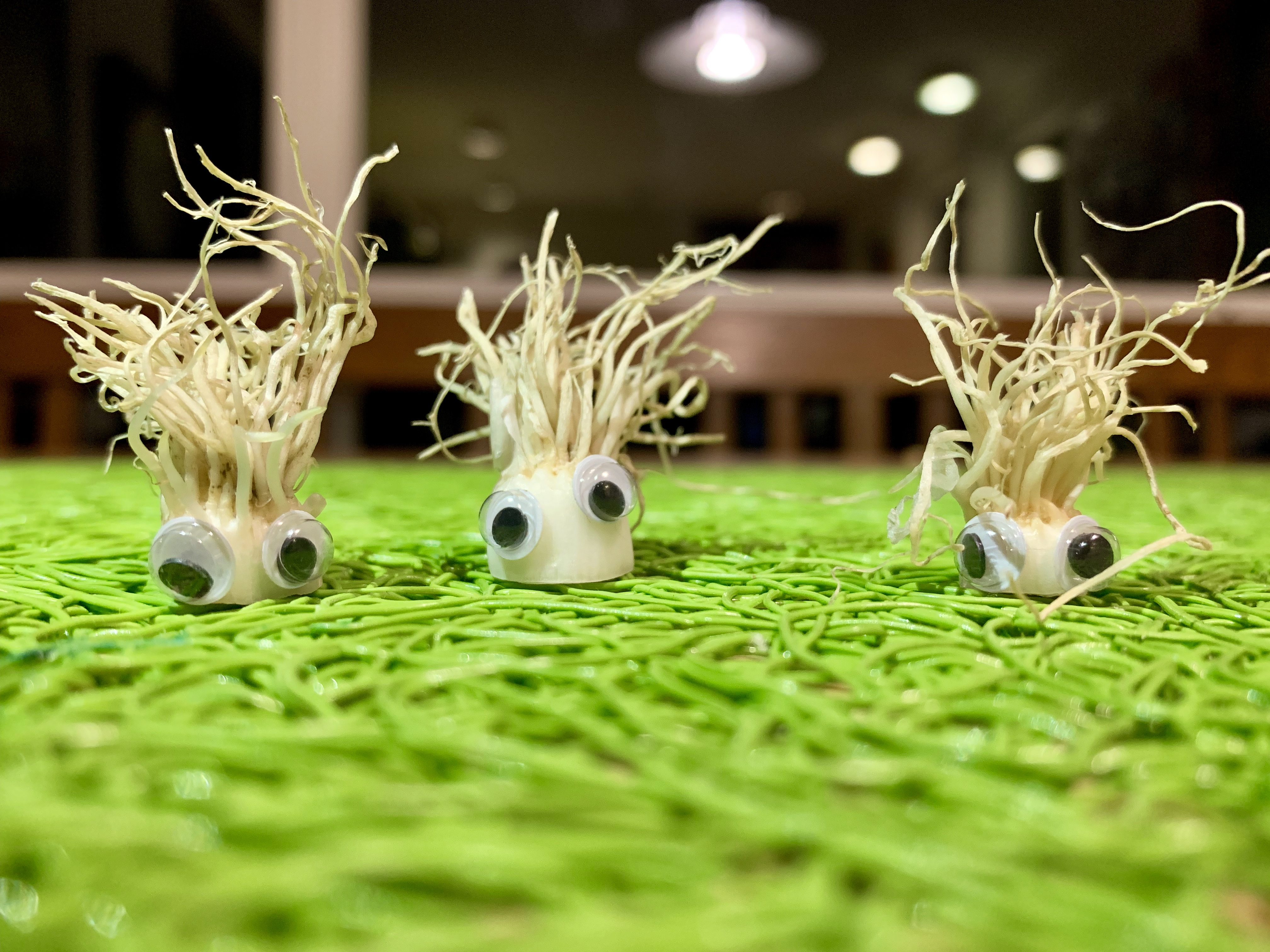 googlyEyes Bee Gees.jpg
