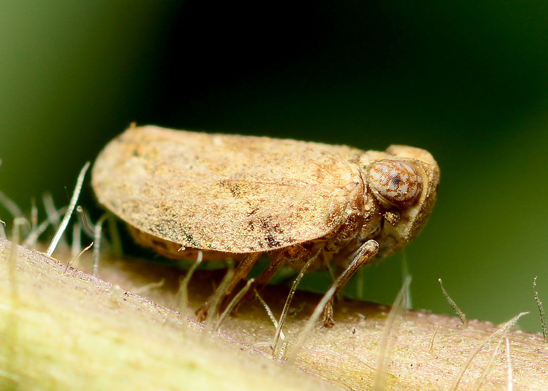 DSC_4501.jpg
