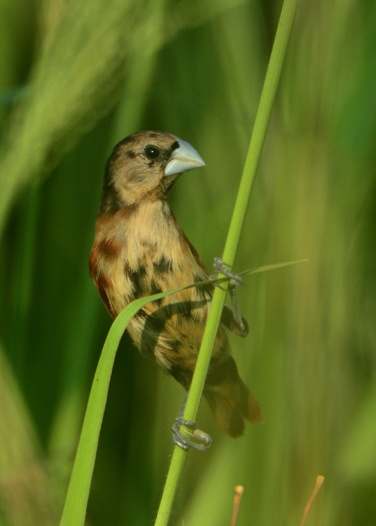 DSC_6851.jpg