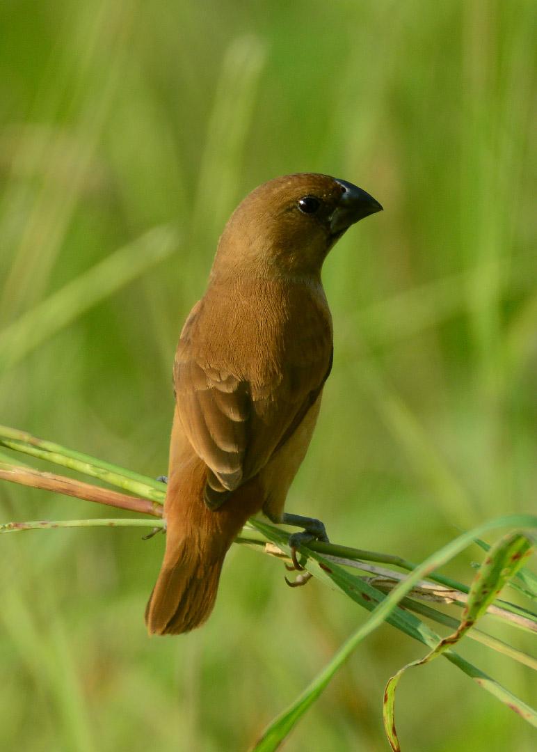 DSC_6776.jpg