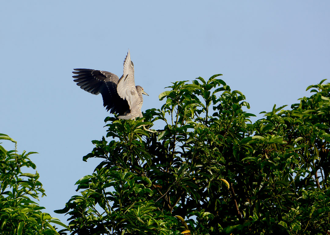 DSC_8646.jpg