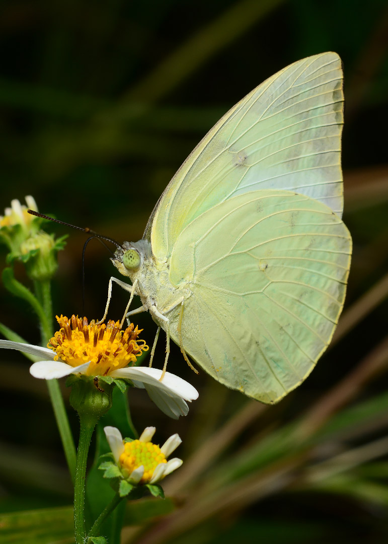 DSC_6308.jpg