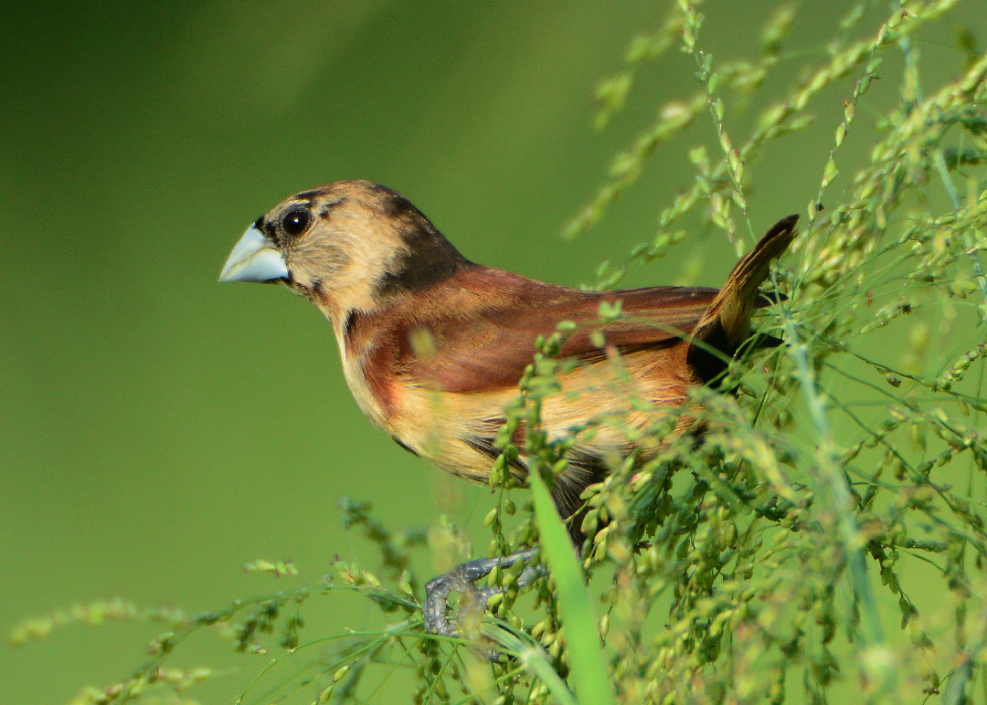DSC_6836.jpg