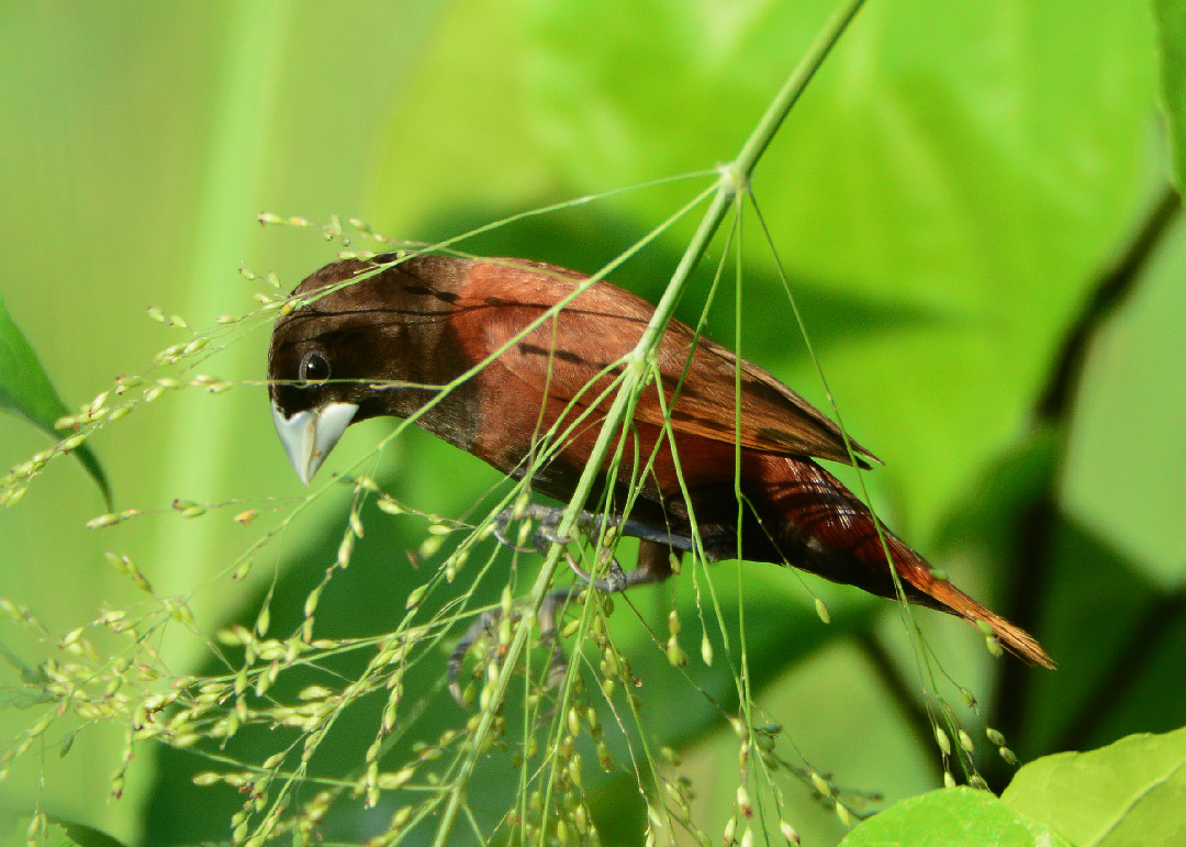 DSC_6843.jpg