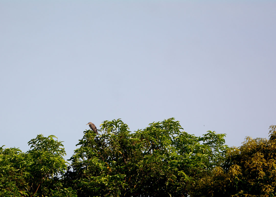 DSC_8739.jpg