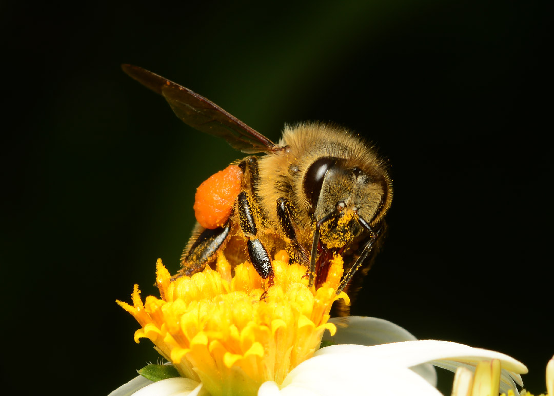 DSC_7055.jpg