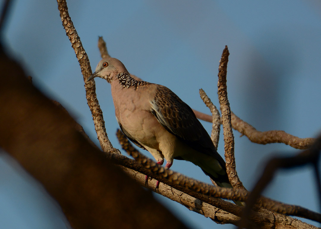 DSC_6909.jpg