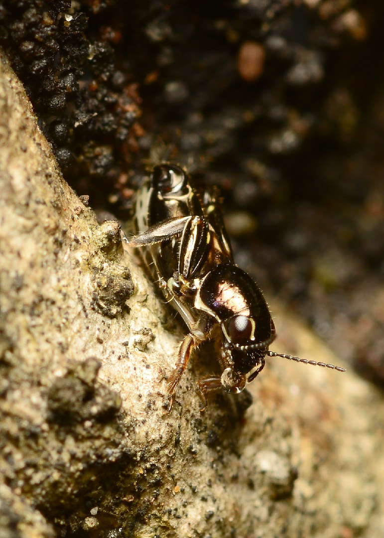 DSC_6251.jpg