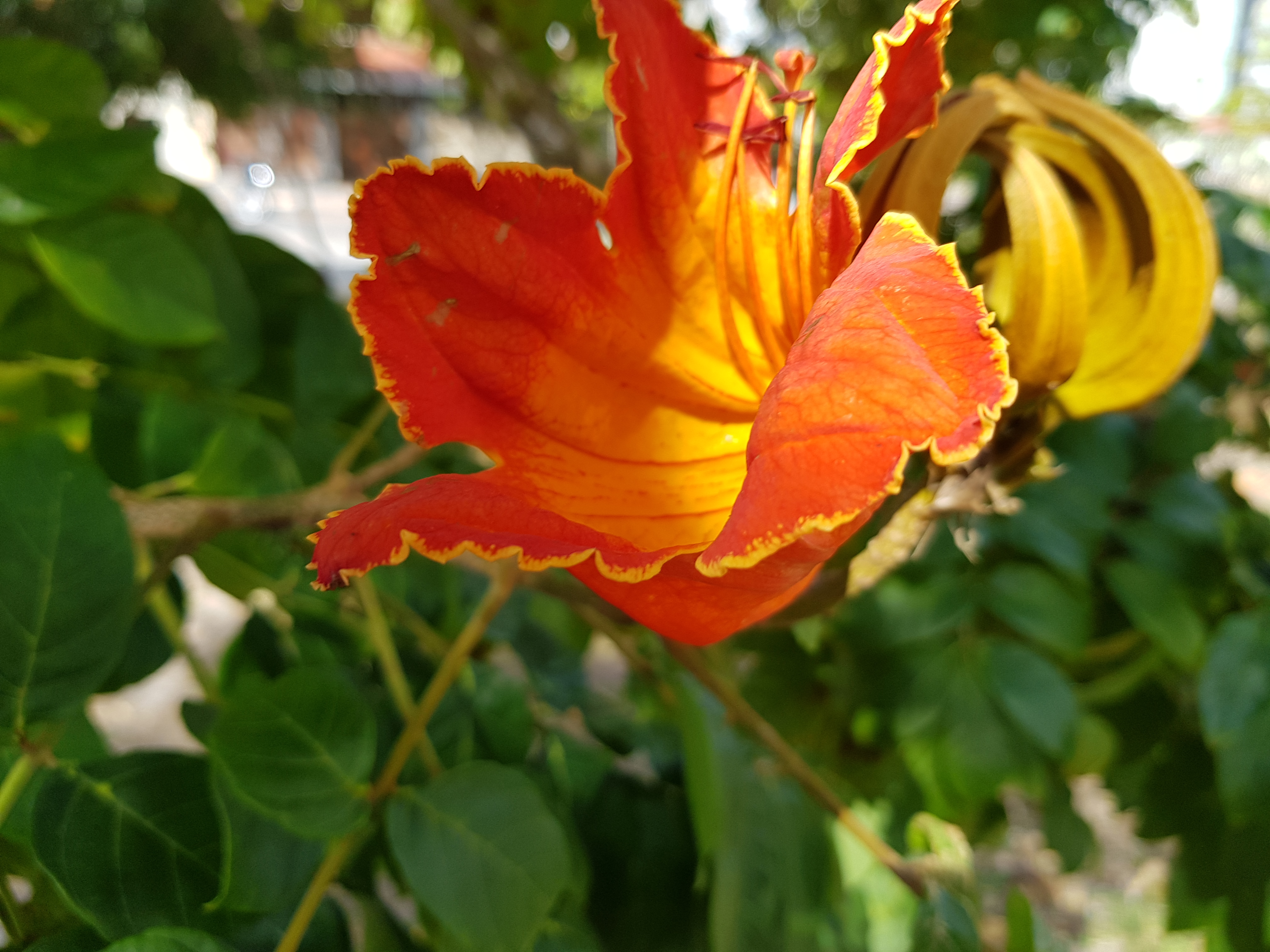 20191006_080115.jpg