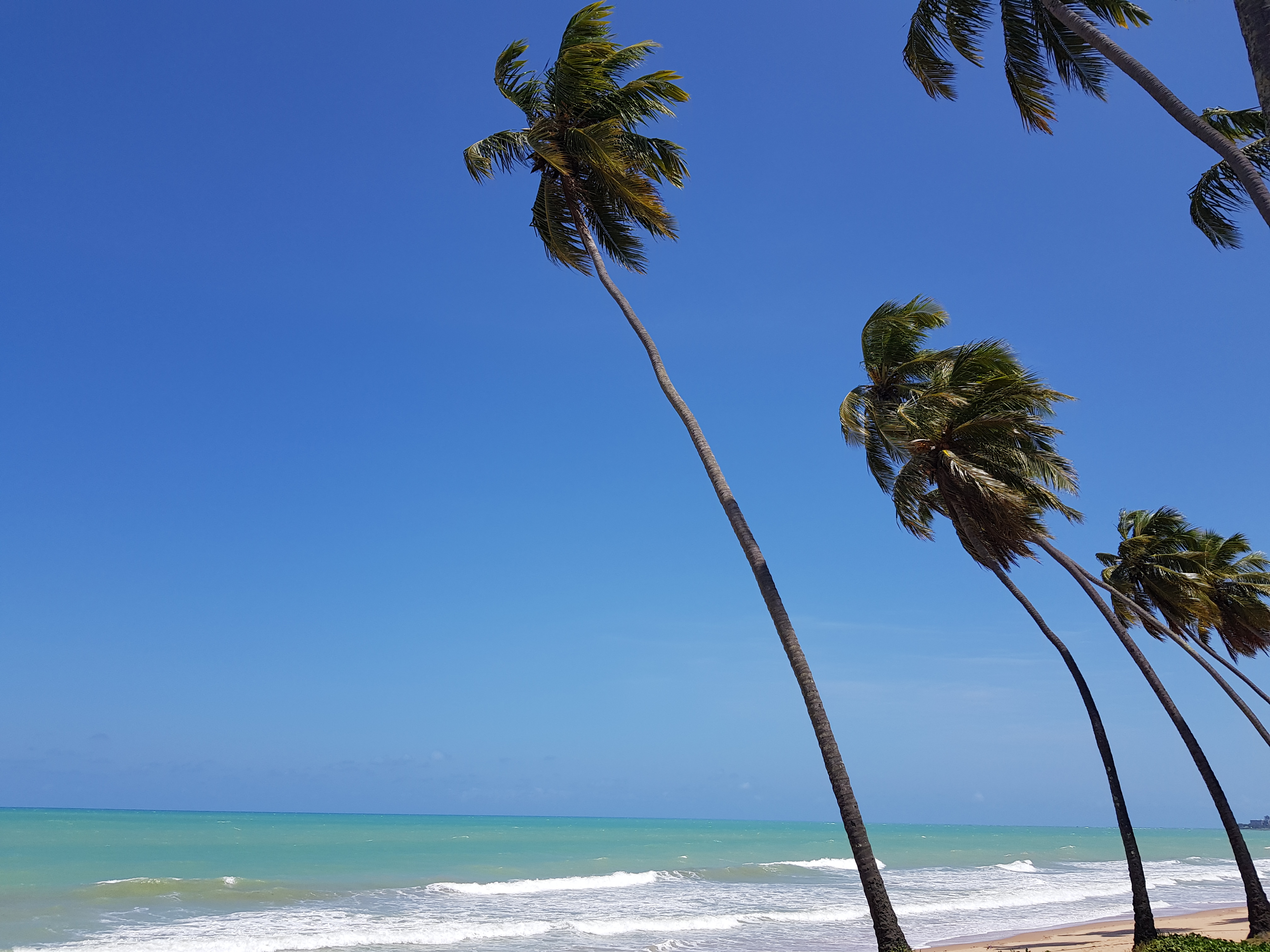 20190928_123941.jpg