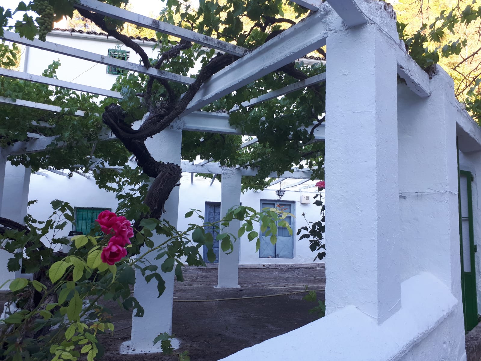 Cortijo9.jpg