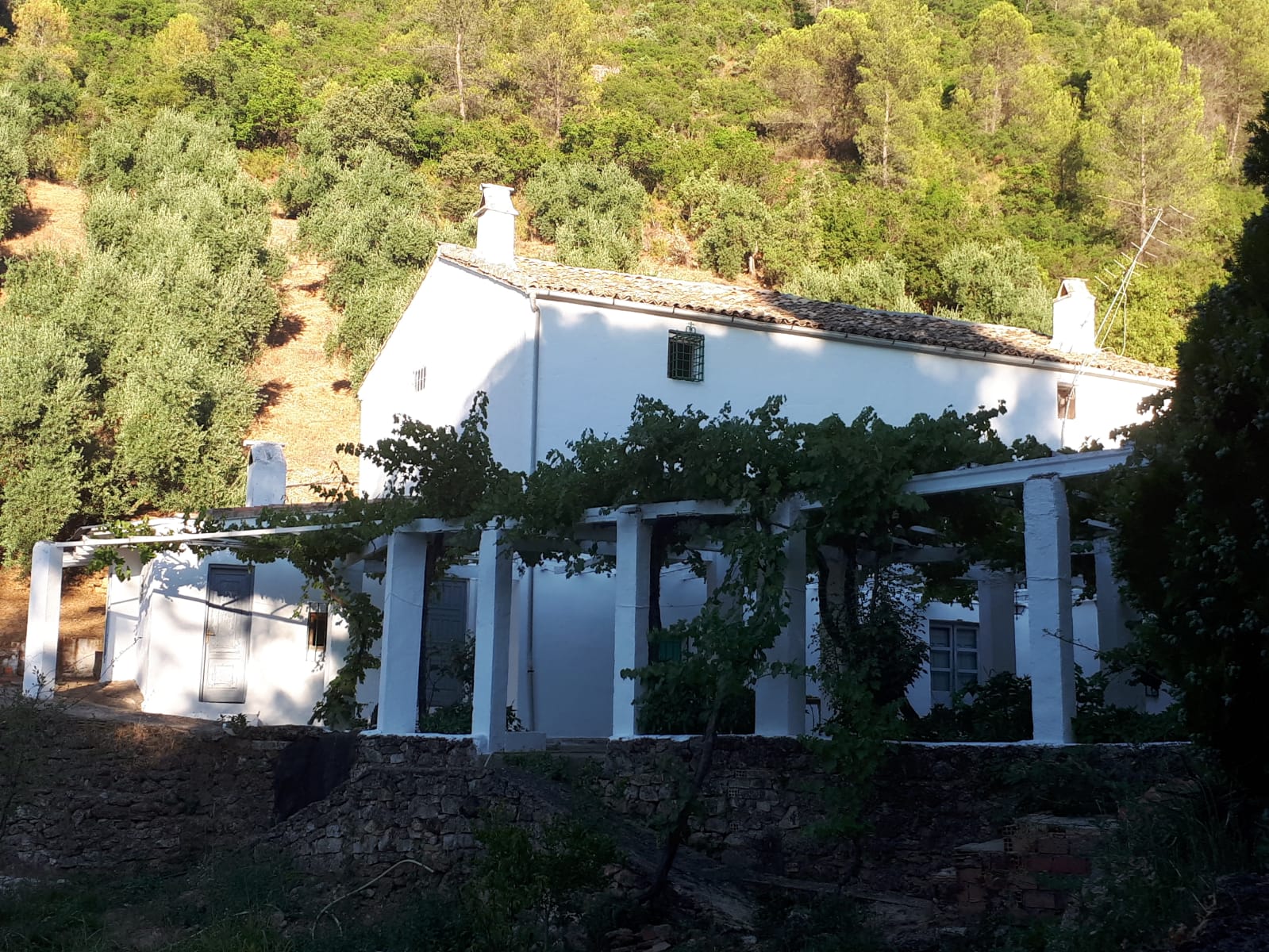 Cortijo2.jpg