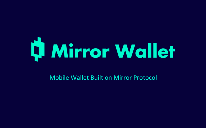 mirror wallet.png