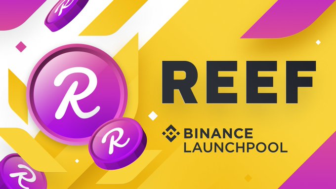 launchpool.jpg