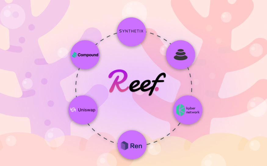 reef finance.png