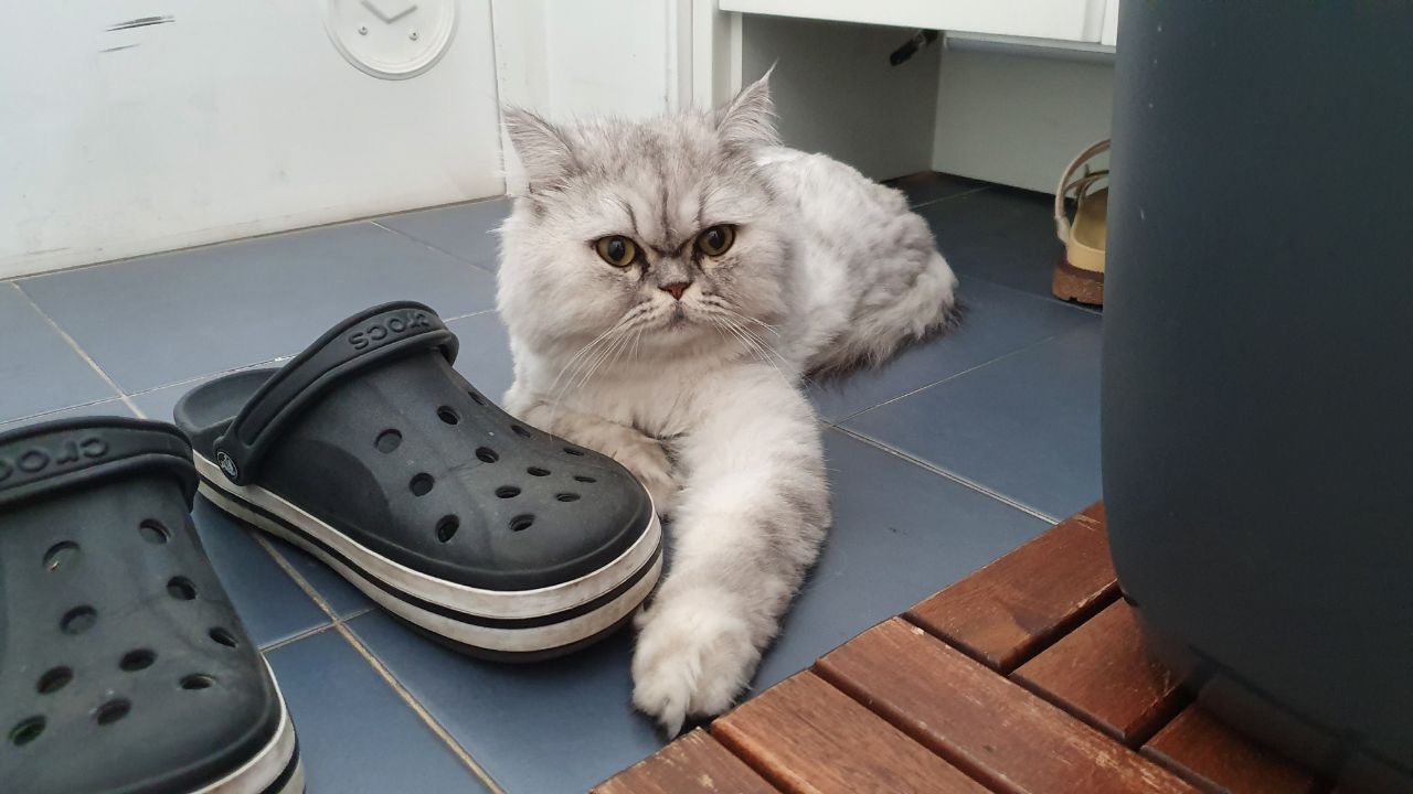 IMAGE 20190808 20:25:34.jpg