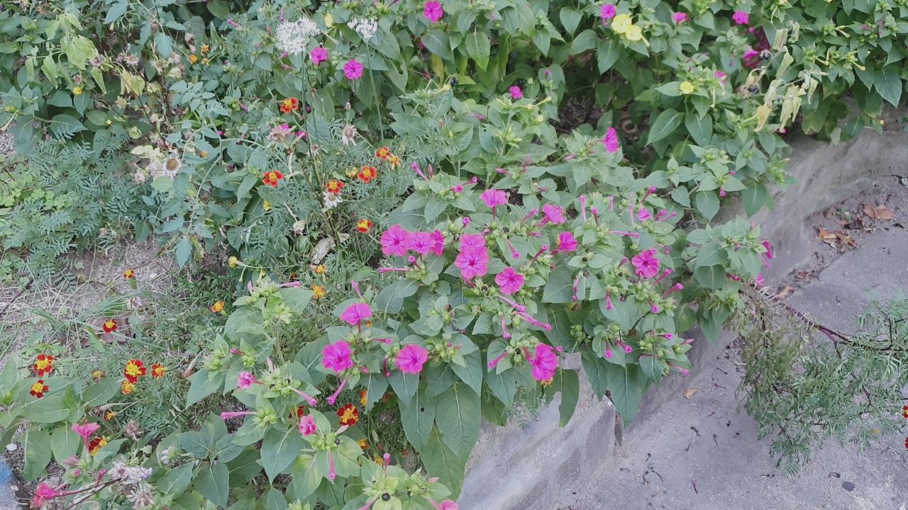 IMAGE 20200920 23:32:23.jpg