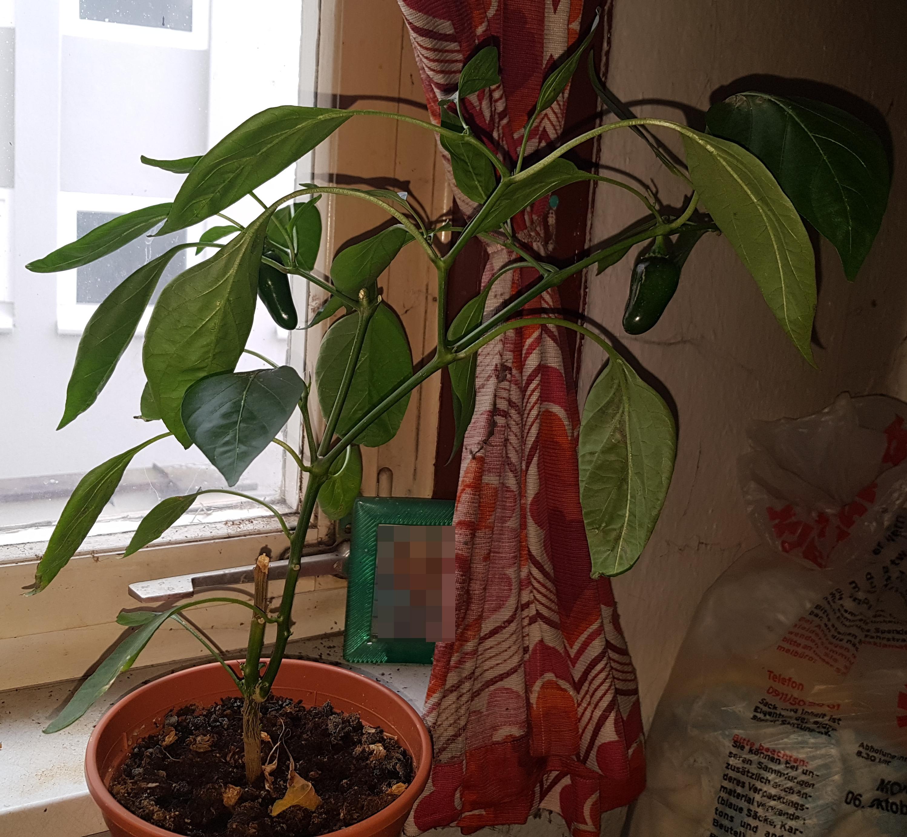 20190813_182430.jpg