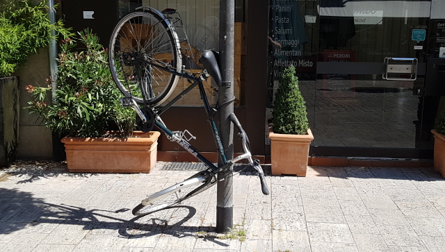 20190716_114451.jpg
