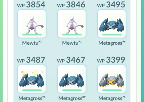 team.jpg