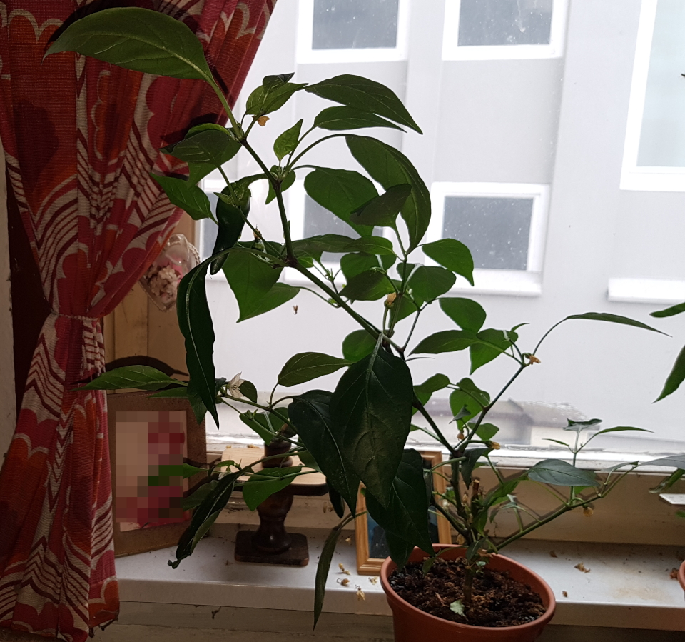 20190813_182329.jpg
