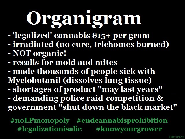 organigram.jpg